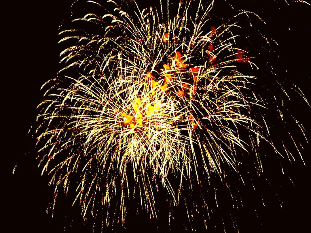 Arthur W. Perdue Stadium (Delmarva Shorebirds)-索尔兹伯里必去景点