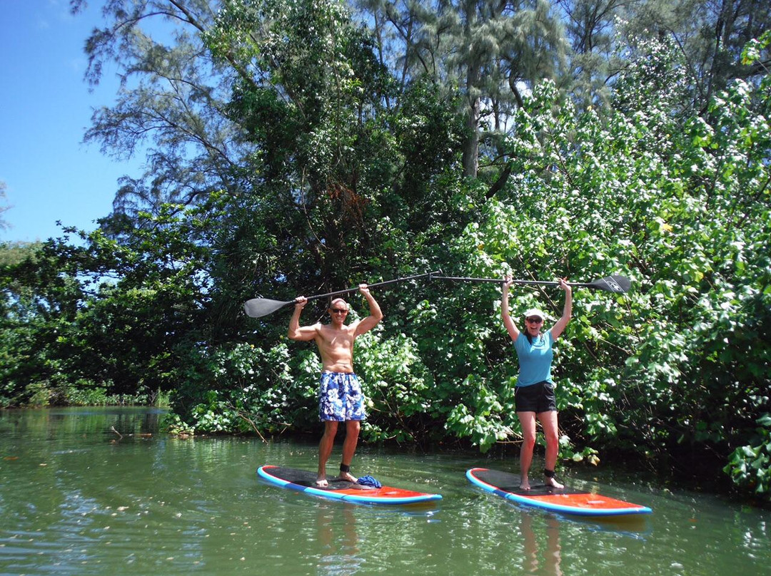 Turtle's Paddle Adventures-卡阿瓦必去景点