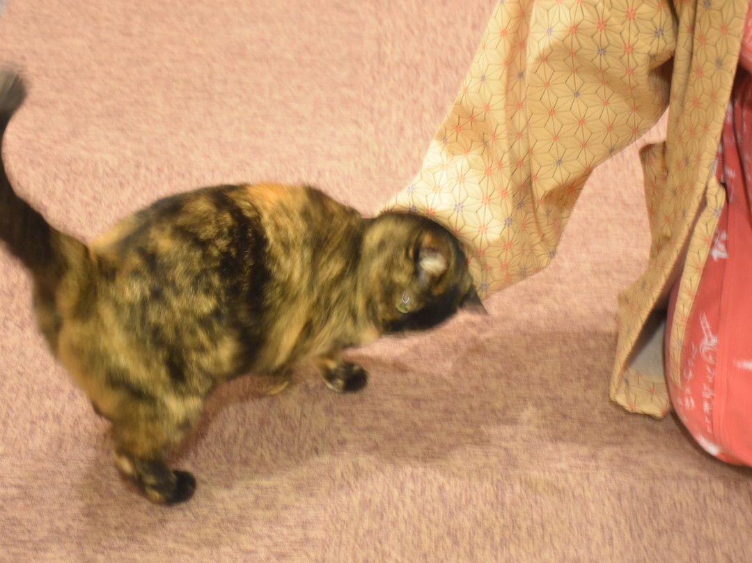 Yuyado Ogunino Auberge Waitakan主图