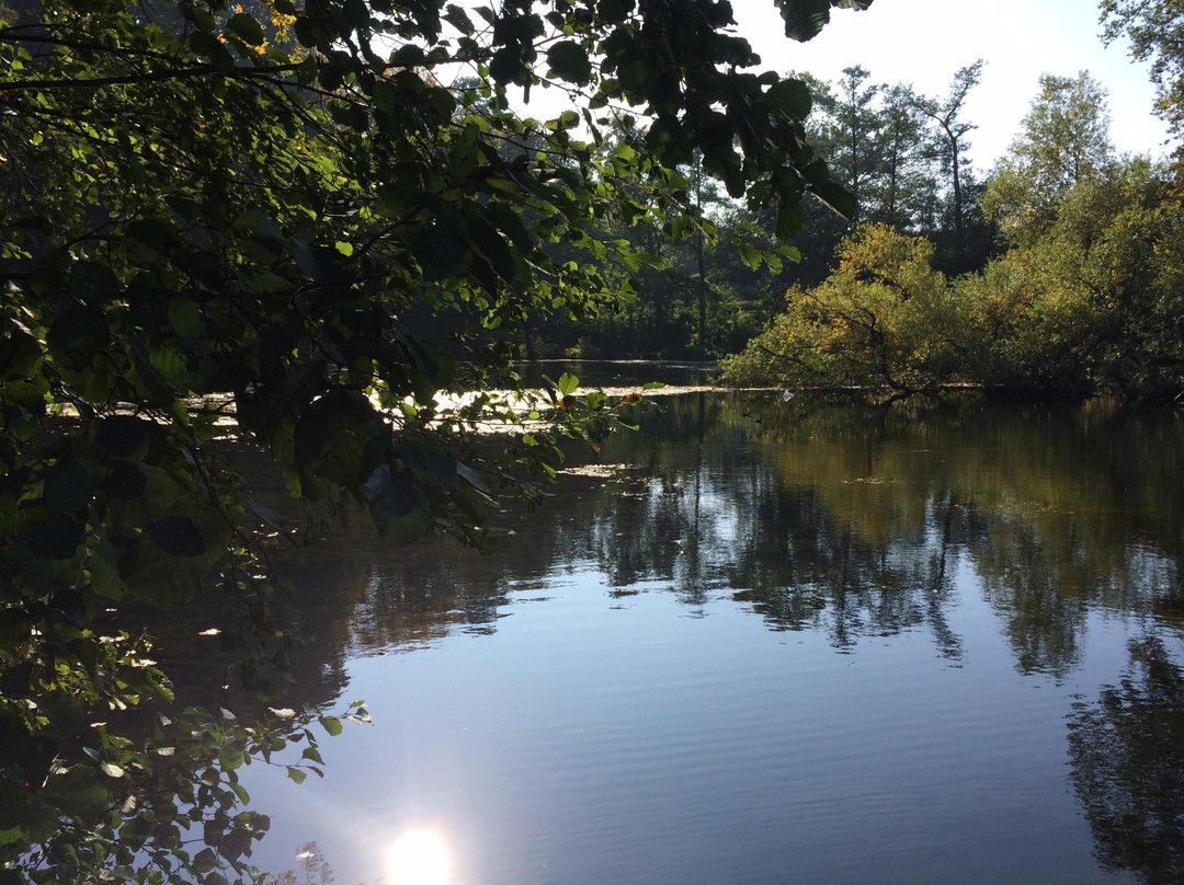 Parc de Séroule景点图片