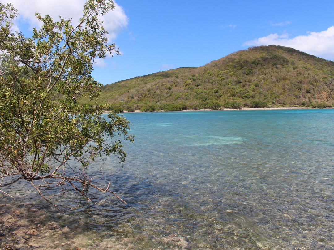 Brown Bay Trail-圣约翰必去景点