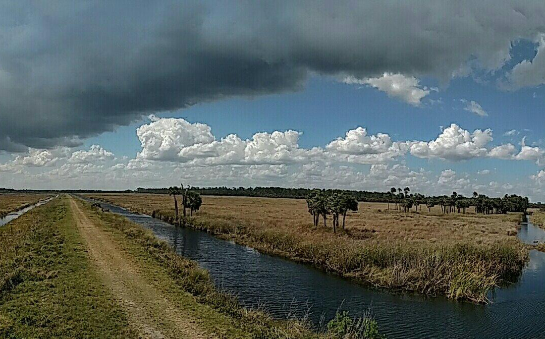 Lake Woodruff National Wildlife Refuge景点图片