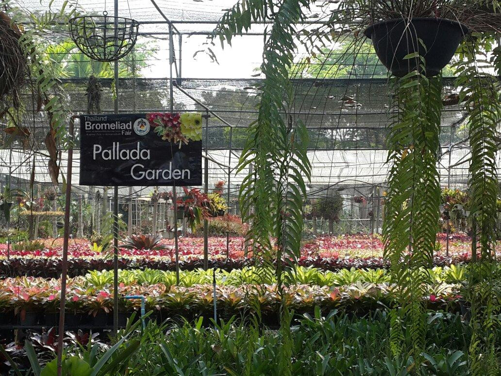 帕拉达凤梨花园度假酒店主图