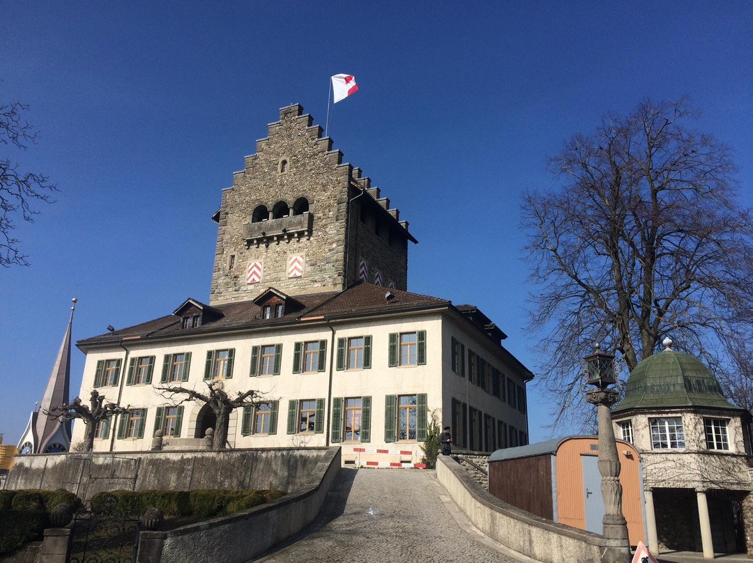 Schloss Uster景点图片