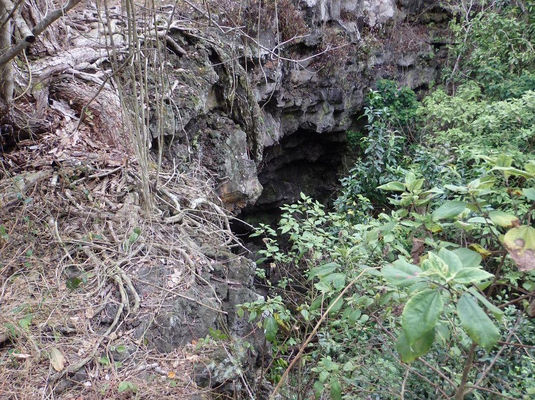 Manuka State Wayside Park-纳勒胡必去景点