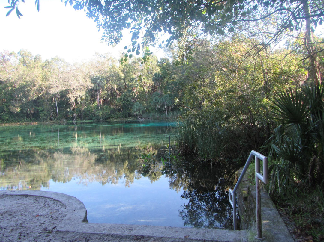 Dayo Scuba-奥兰多必去景点