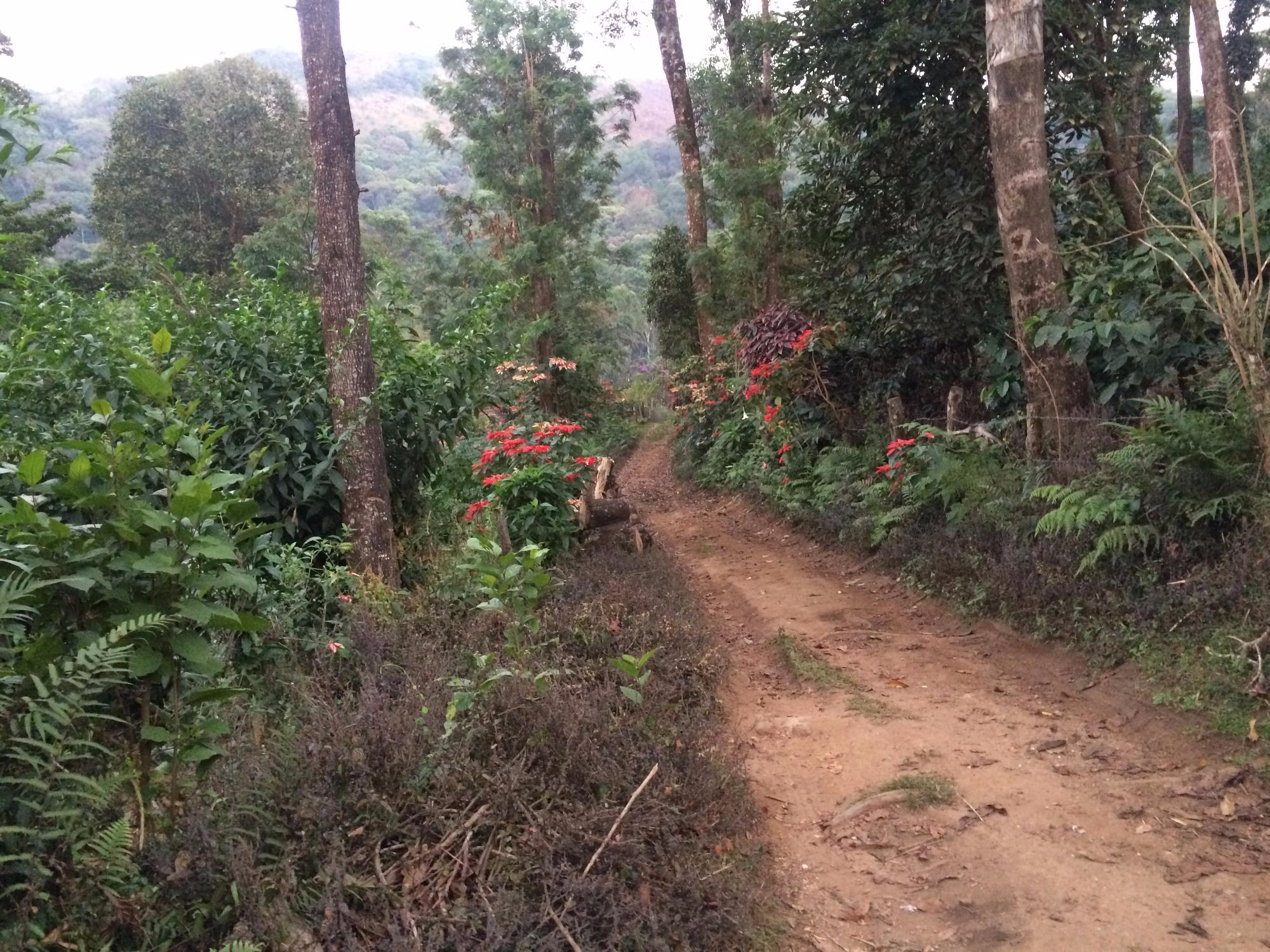 Honey Valley Homestay-官方