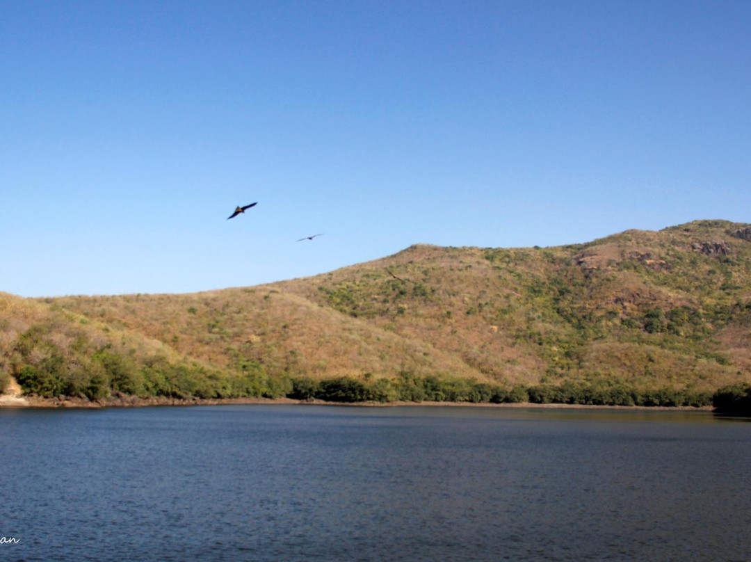 Wellington Dam-居那加德必去景点
