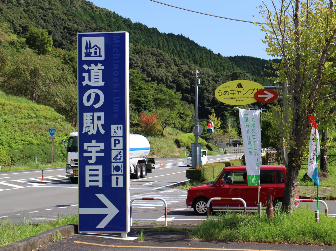 Ume Michi-no-Eki-佐伯市必去景点