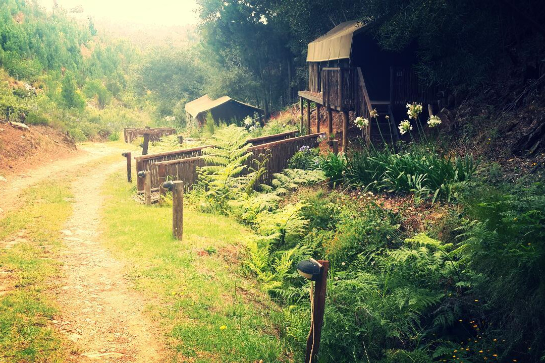 Elgin Hills Luxury Tented Camps