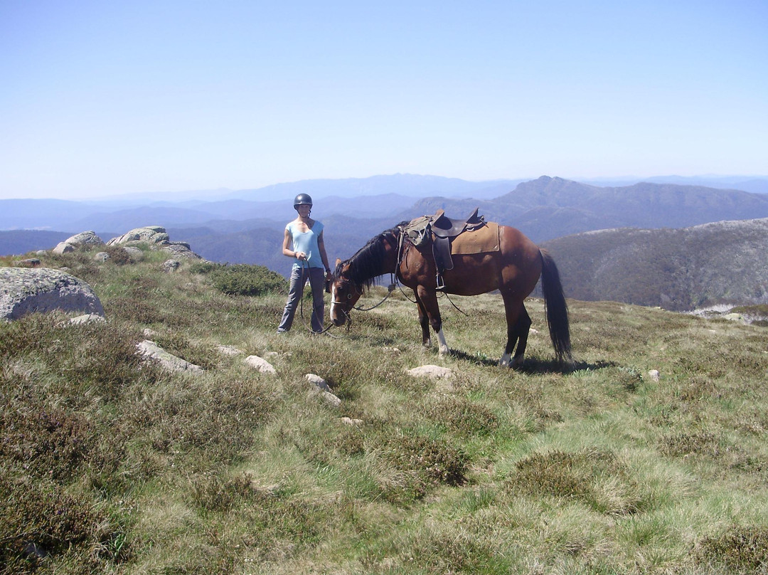 Hidden Trails by Horseback-Tolmie必去景点