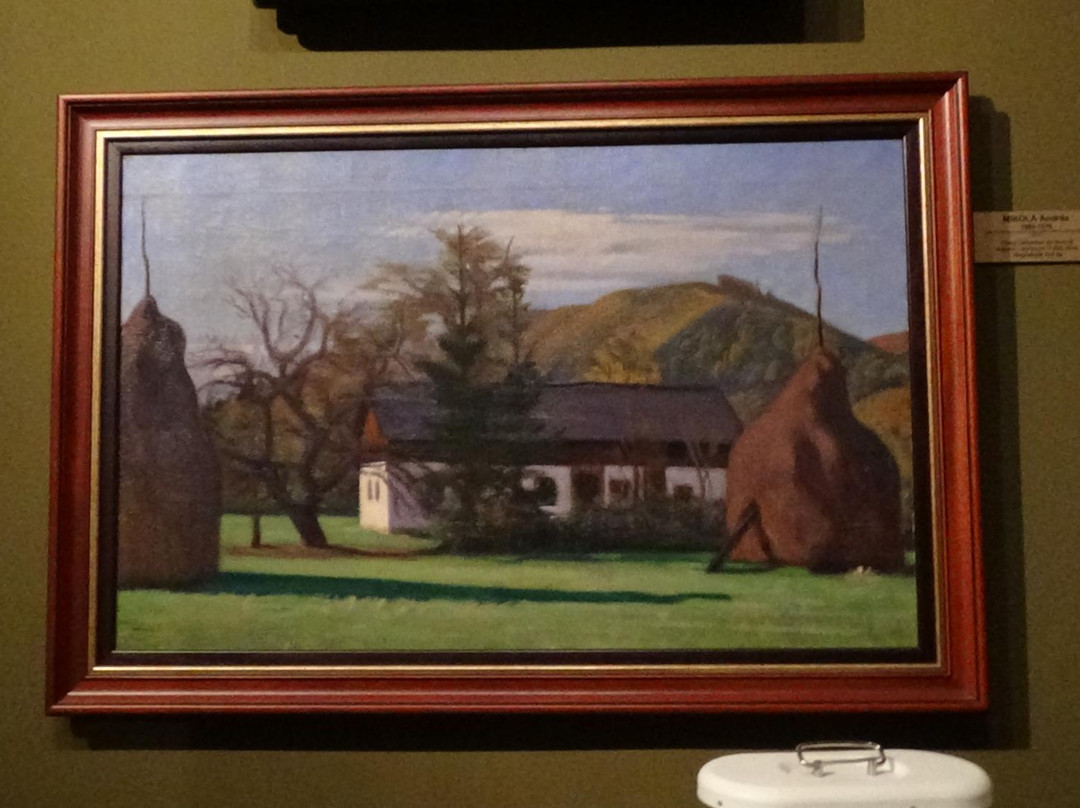 County Museum of Art «Baia Mare Artistic Centre»景点图片