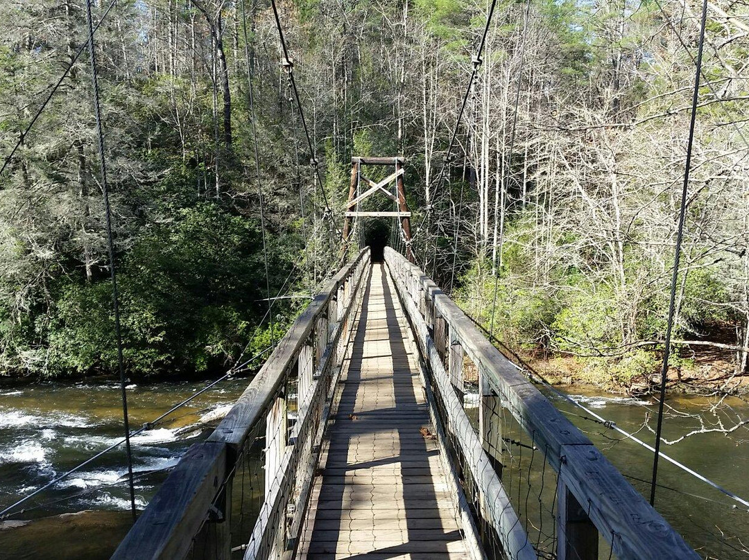 Toccoa River Swinging Bridge景点图片