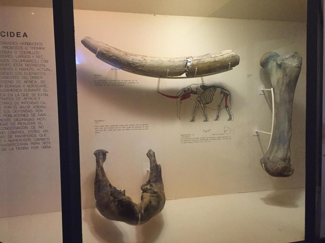 Castillo de Maua-Mercedes必去景点