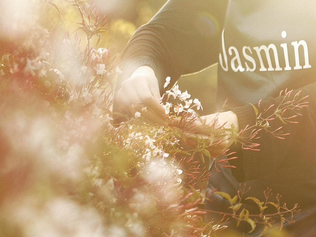 Jasmin Organics景点图片