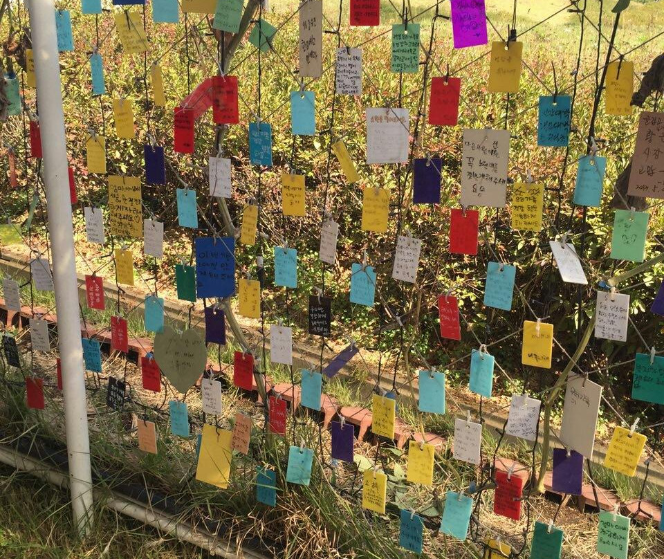 Anseong Namsadang Training Center-安城市必去景点