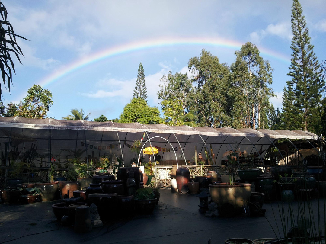 Garden Ponds Kauai-基拉韦厄必去景点