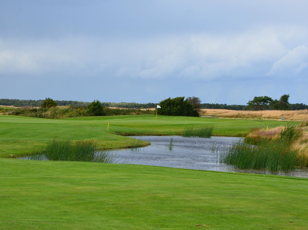 Ljunghusens Golfbana-Ljungskogen必去景点