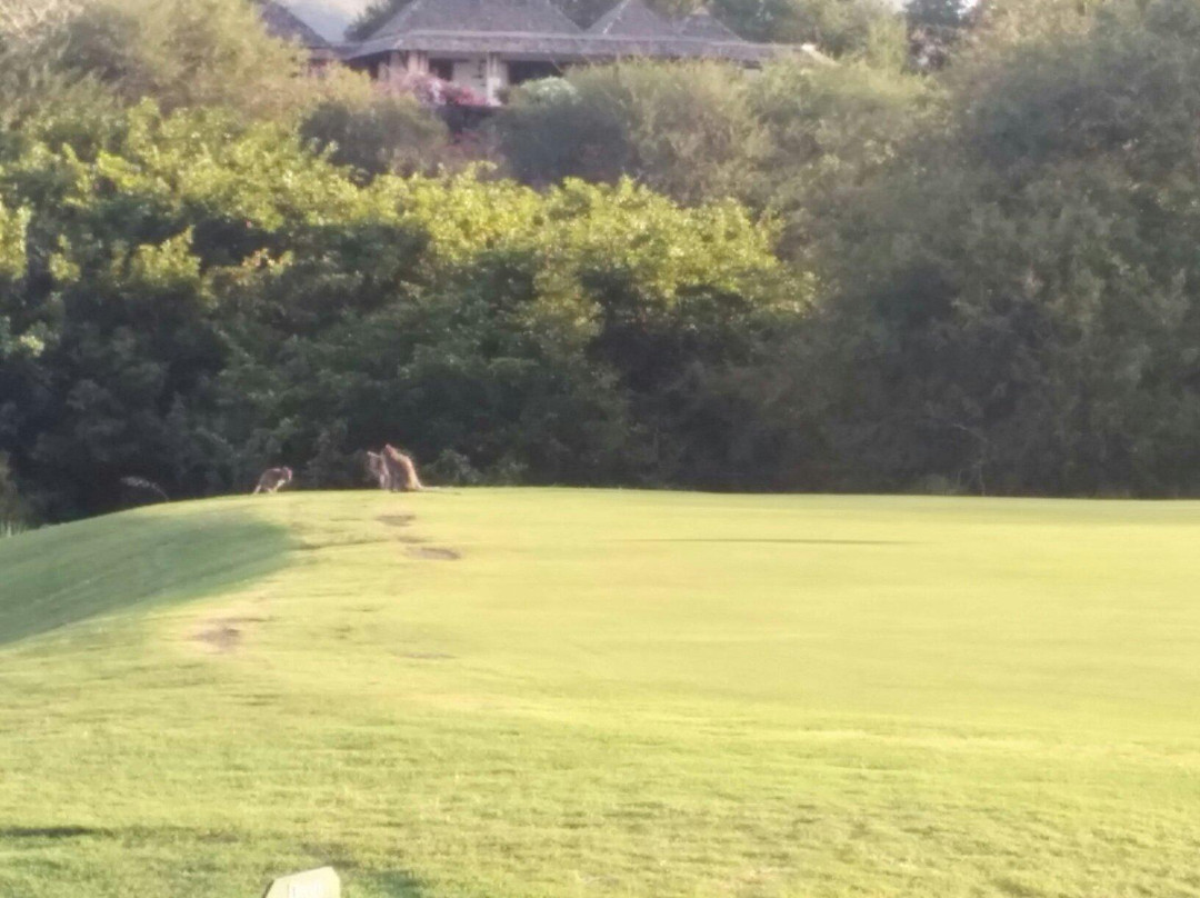 Tamarina Golf Club - Mauritius-塔玛琳必去景点