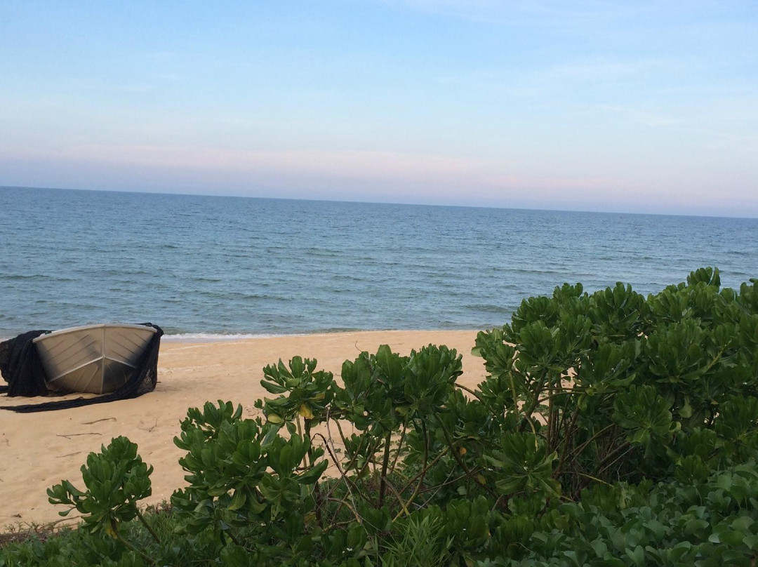 Millbrook House Terengganu主图