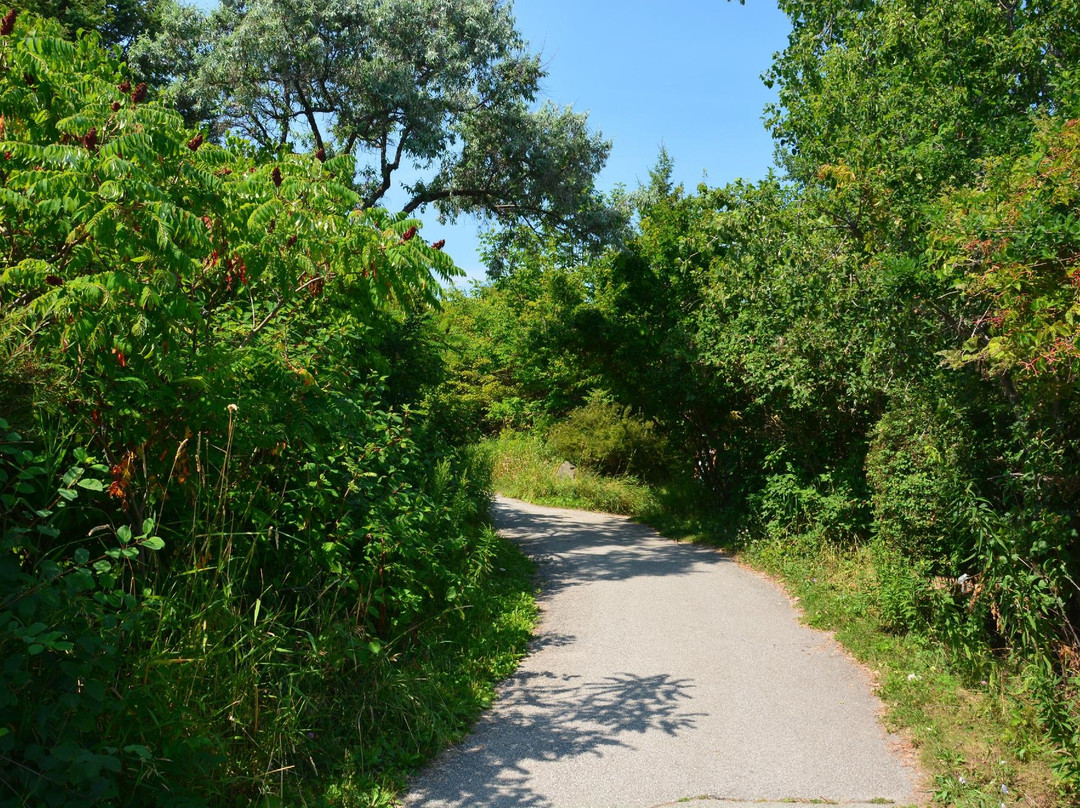 灰桥湾公园-多伦多必去景点