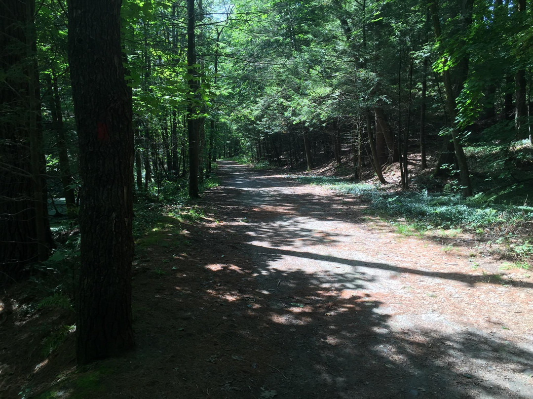 Highland Pond-格林菲尔德必去景点