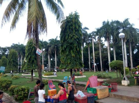 Sagay City Garden and Living Tree Museum-Sagay City必去景点