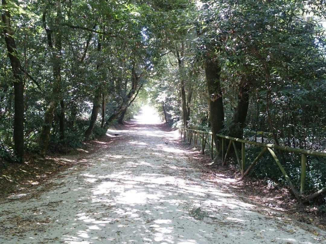 Jardim do Cerco景点图片