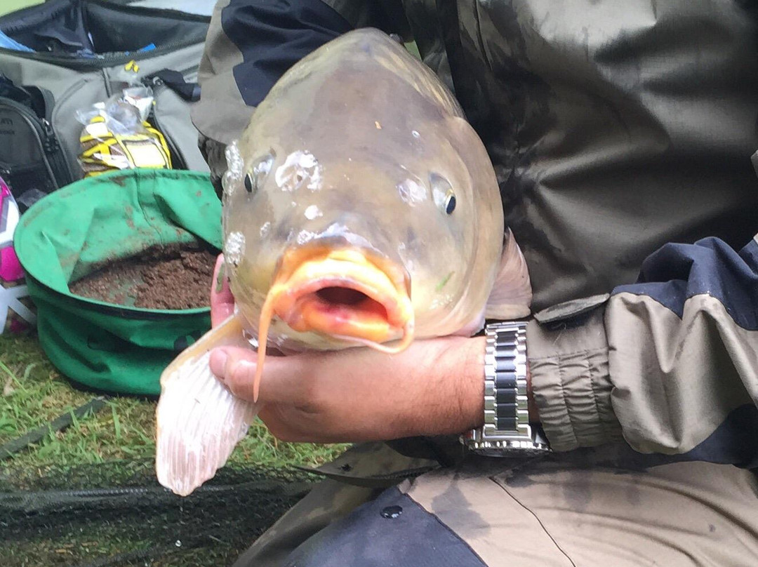 Hartland Forest Golf Parc主图