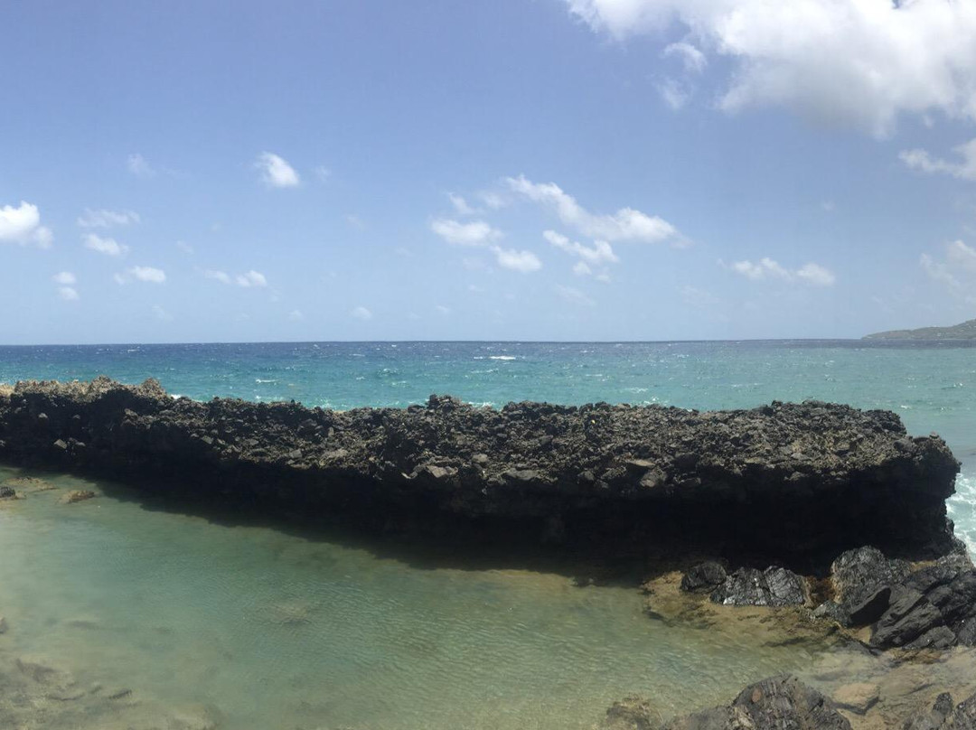 Carambola Tide Pools-圣克鲁斯必去景点