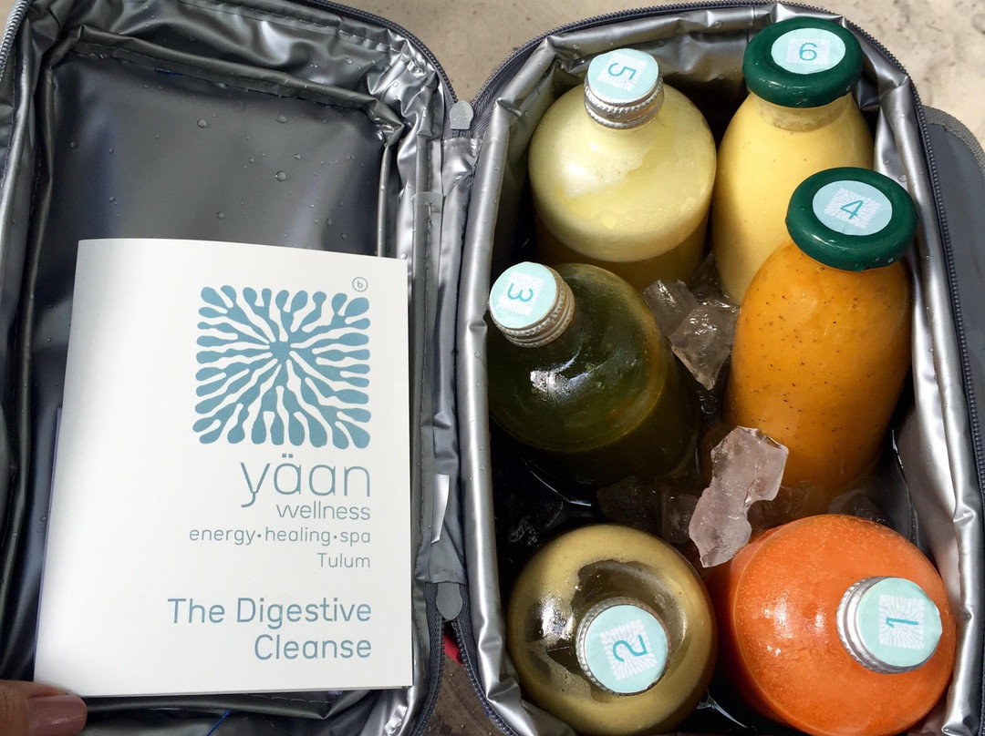 Yäan Healing Sanctuary-图伦必去景点