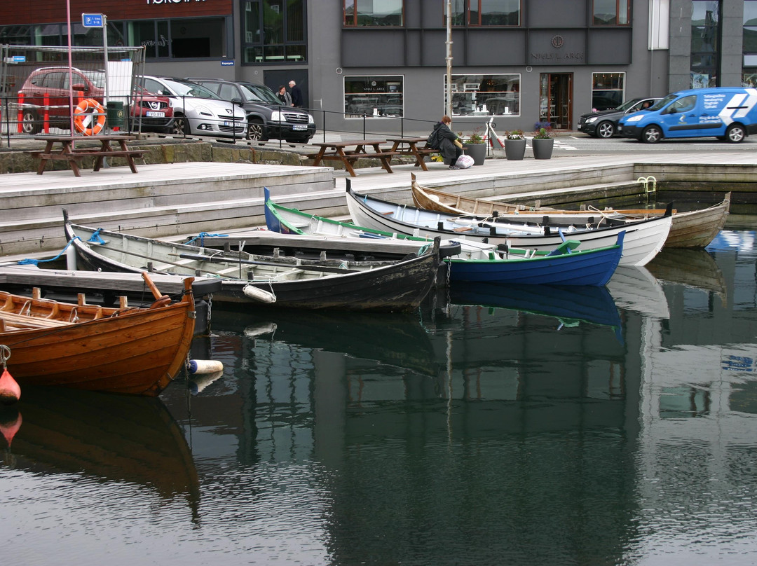 Visit Torshavn景点图片