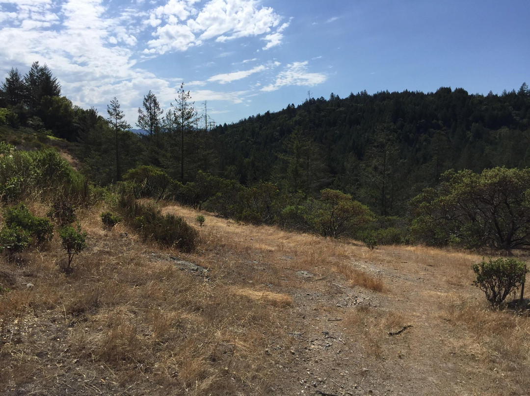 Annadel State Park景点图片
