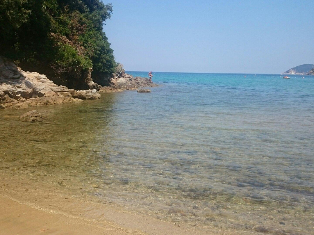 Procchio Beach景点图片