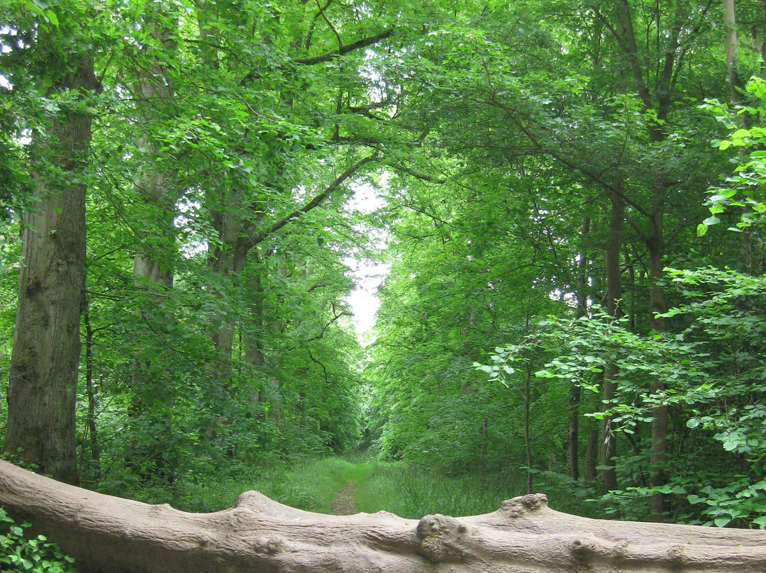 Hartwell旅游攻略图片