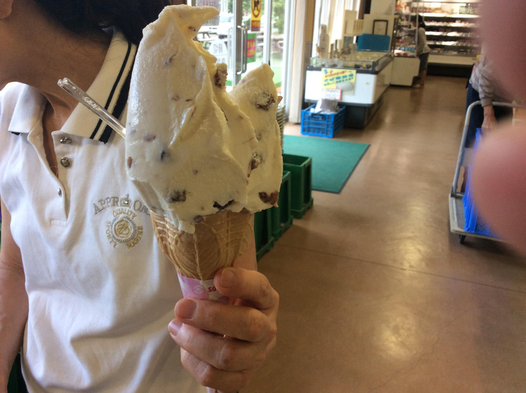 Iwafune Fruits Park-栃木市必去景点