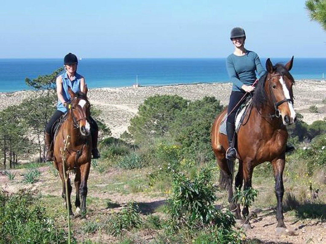 Pinetrees Horse Riding景点图片