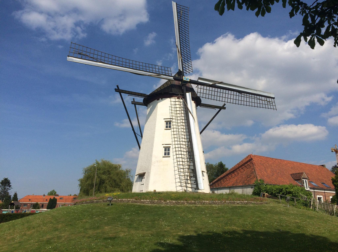 The White Mill (Witte Molen)景点图片