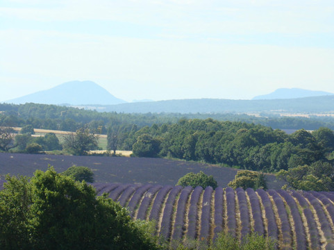 Unique Provence Tours-Forcalquier必去景点