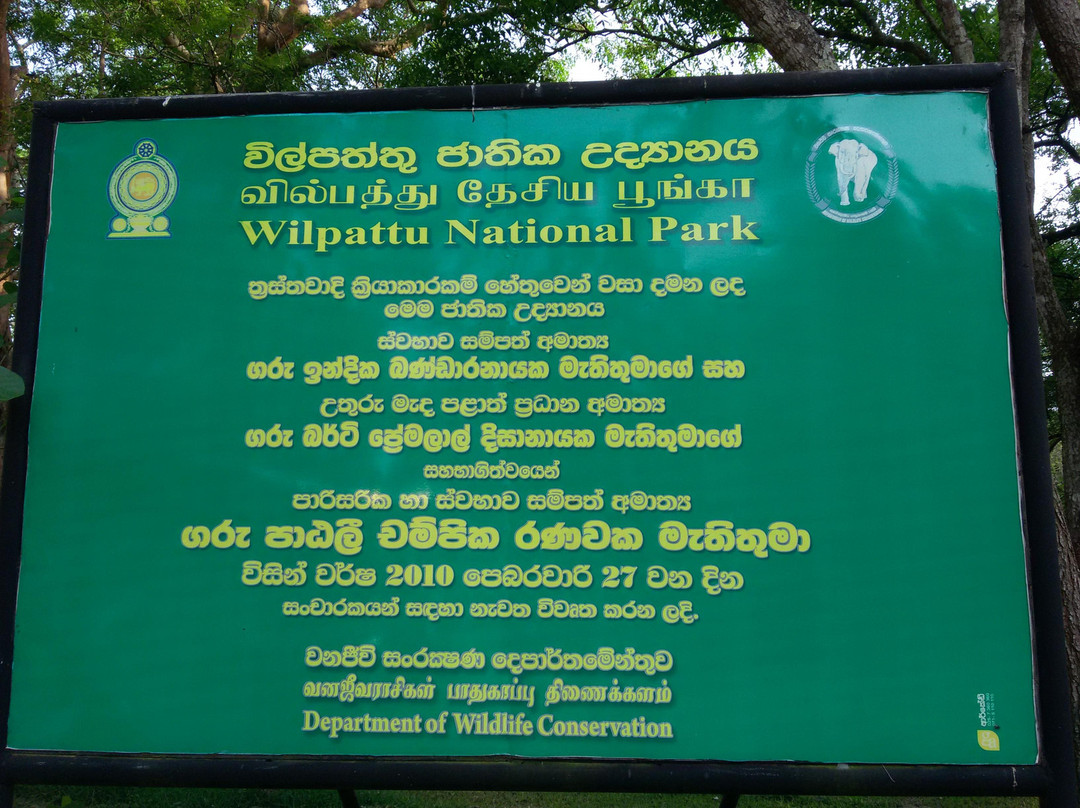 Wilpattu Safari Jeep景点图片
