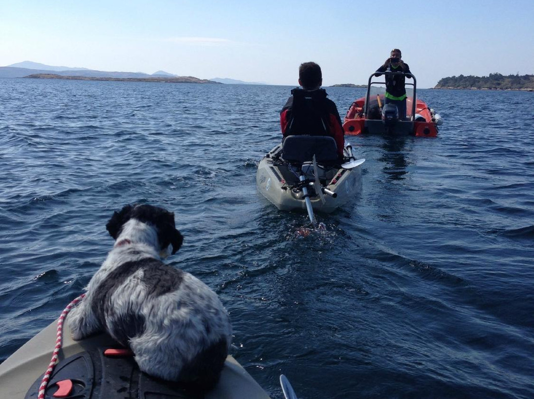 Sunfish Explorer - Motorised Kayaking Tours-Sneem必去景点