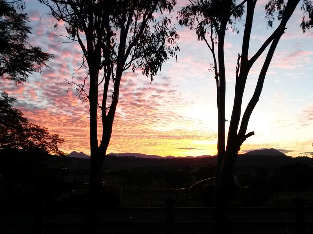 Sky Dance-布里斯班必去景点