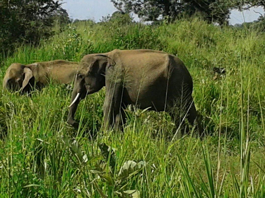 Fernando Adventure Safaries-哈巴拉娜必去景点