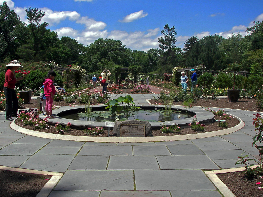 Rudolf W. Van der Goot Rose Garden-萨默塞特必去景点