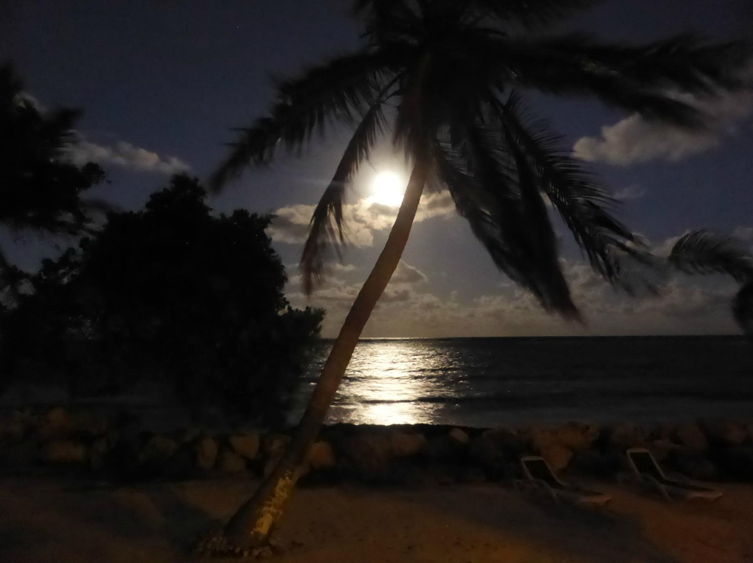 Le Touloulou Marie Galante-Marie-Galante必去景点