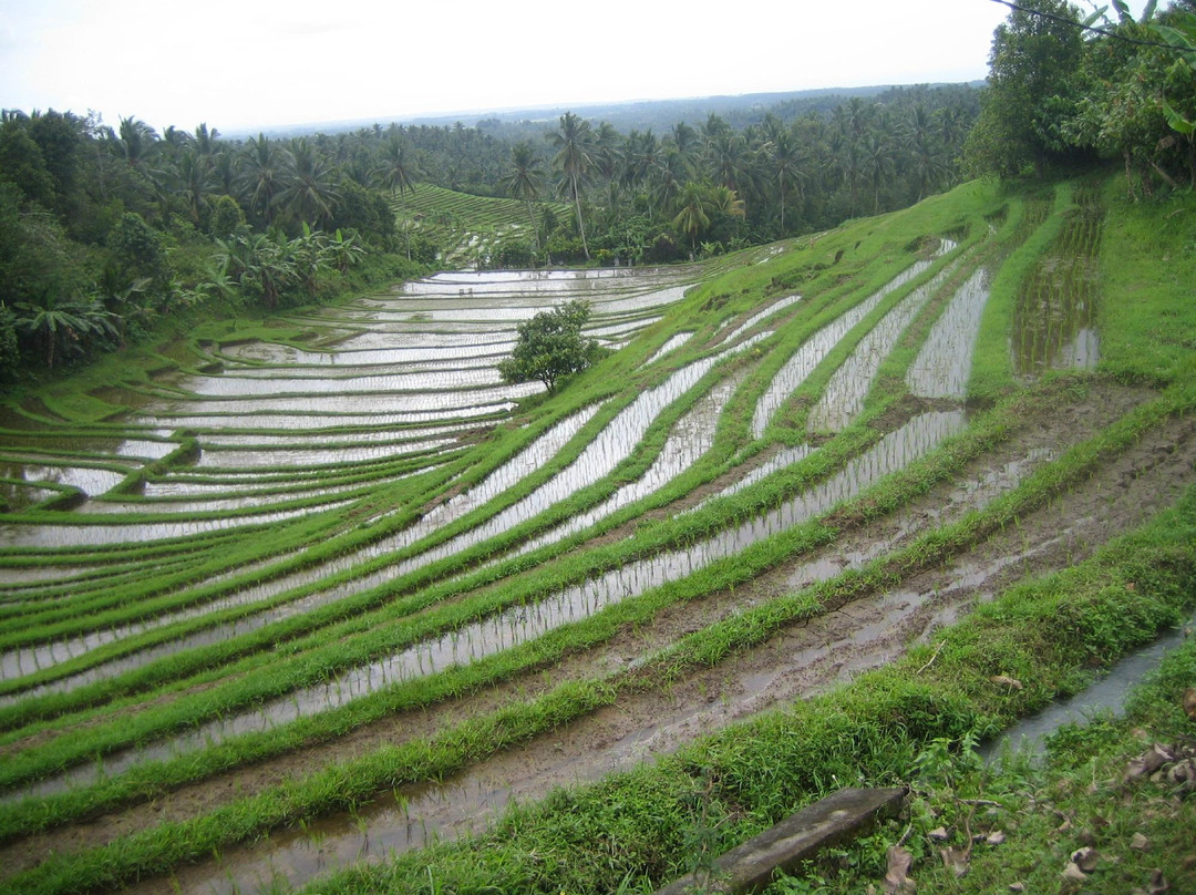 Bali Jeep Tours-Saba必去景点