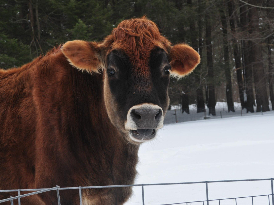 Natural Resources Trust of Easton-North Easton必去景点
