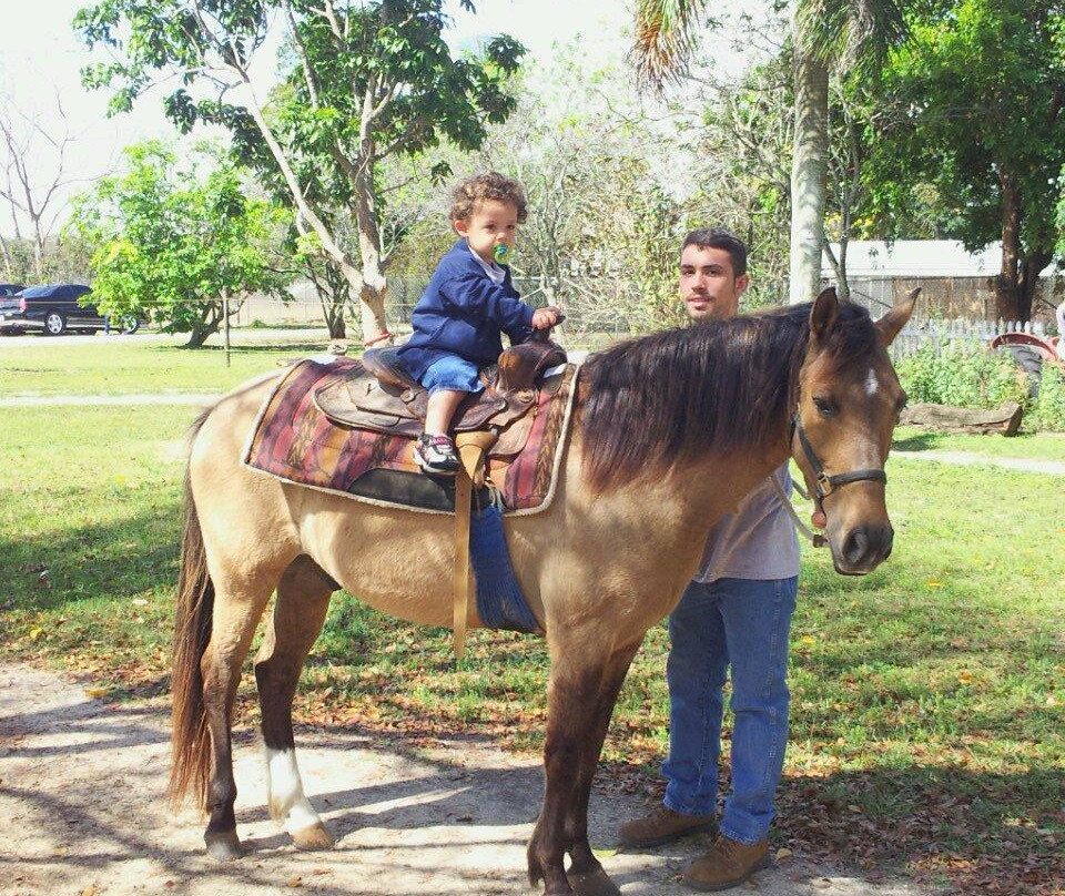 The Little Farm-Goulds必去景点