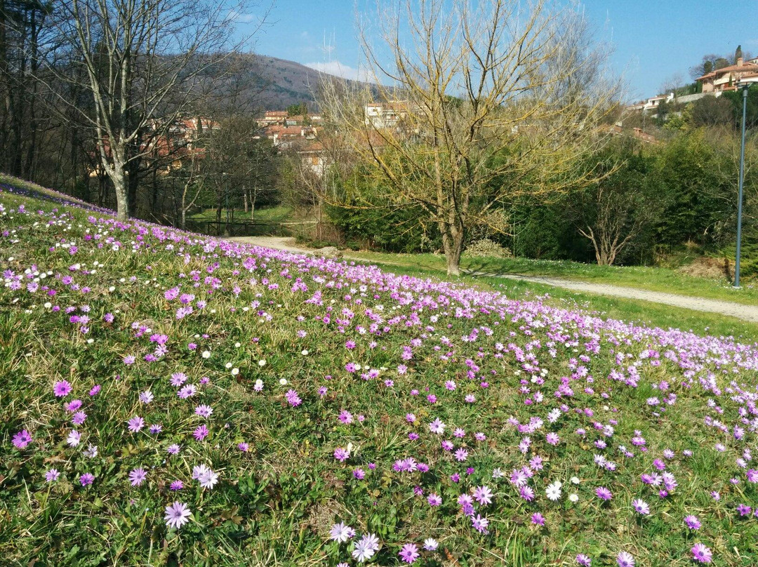 Parco naturale dell'Aringhese景点图片
