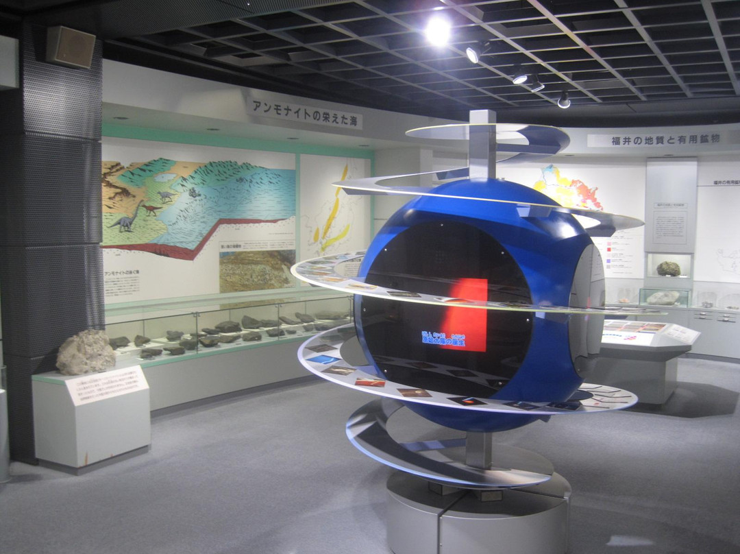 Fukui City Museum of Natural History景点图片